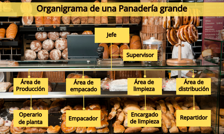 Manual de organización de una panadería y pastelería