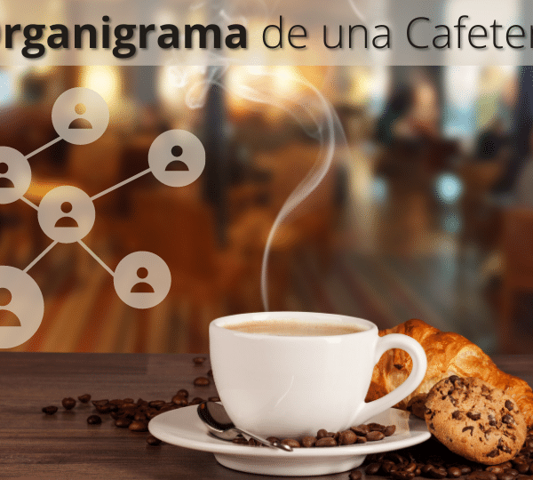 organigrama de una cafeteria y sus funciones