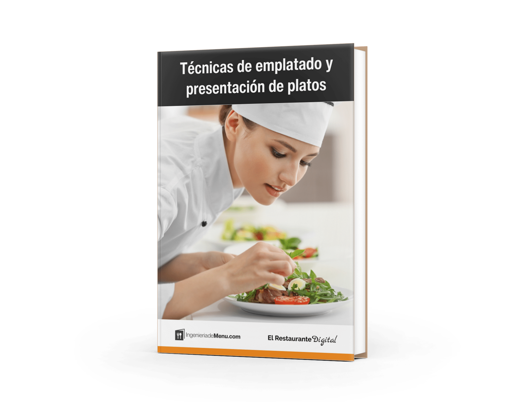Técnicas de emplatado y presentación de platos (Ebook)
