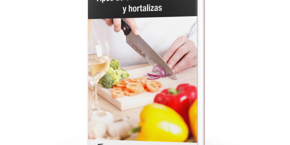 Tipos de cortes en gastronomía (Ebook)